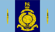 40 Commando Royal Marines Unit Flags